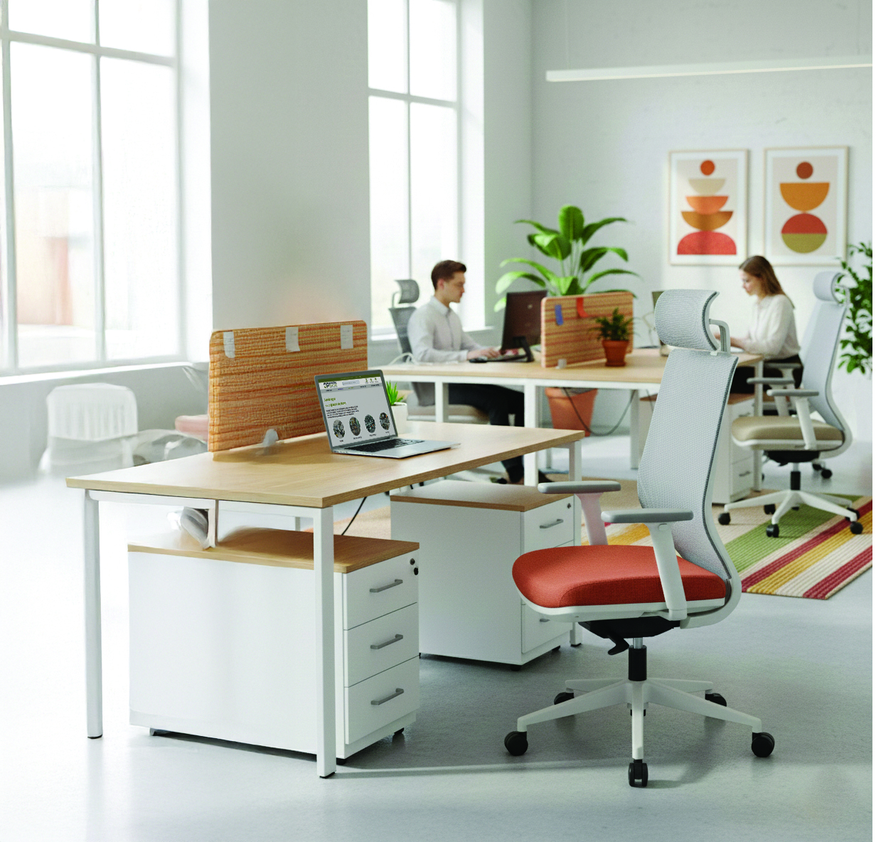 Photo de l'univers : COLLABORATEUR