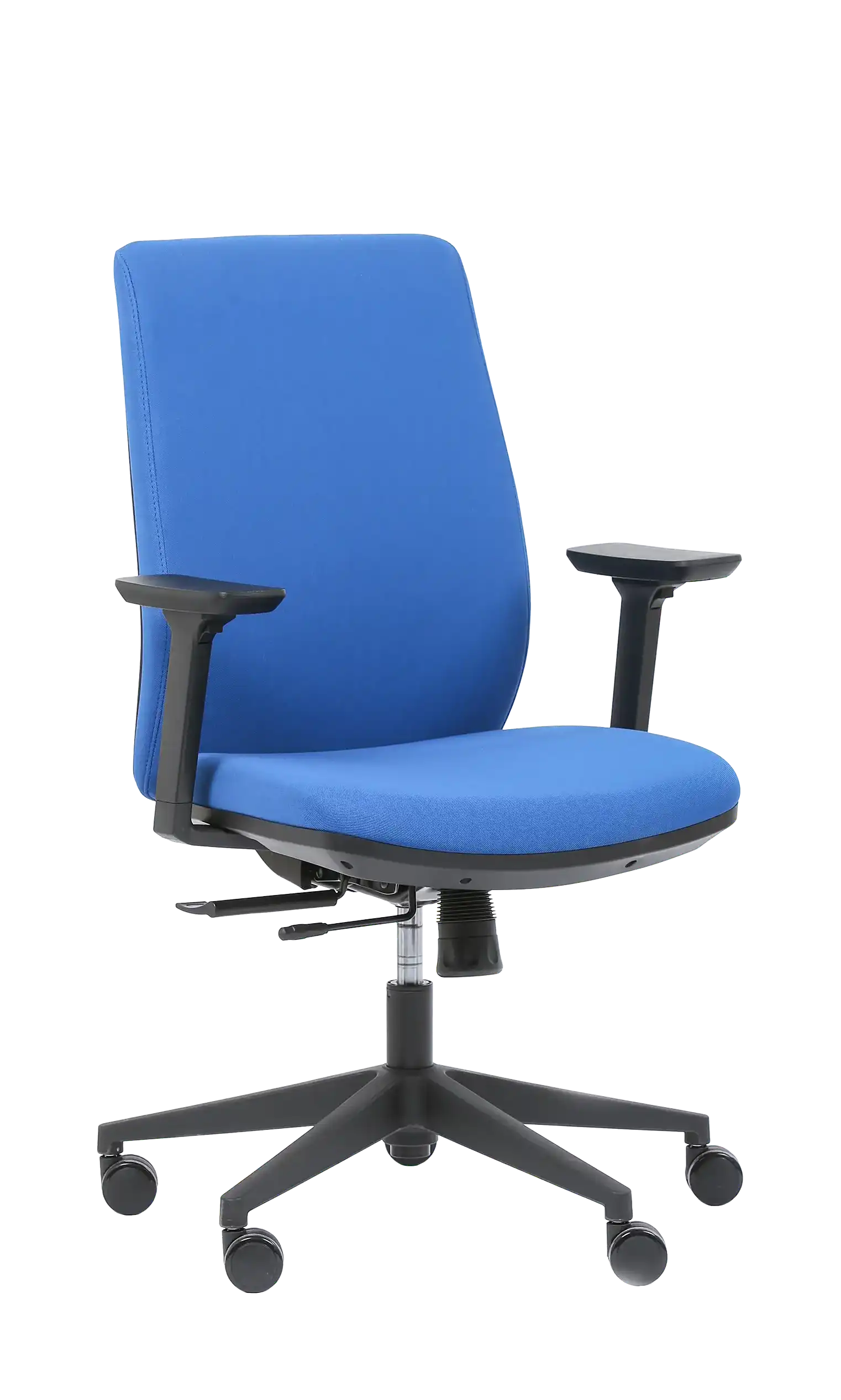 Photo du produit FAUTEUIL ERGONOMIQUE SHERMAN BLEU/BLUE