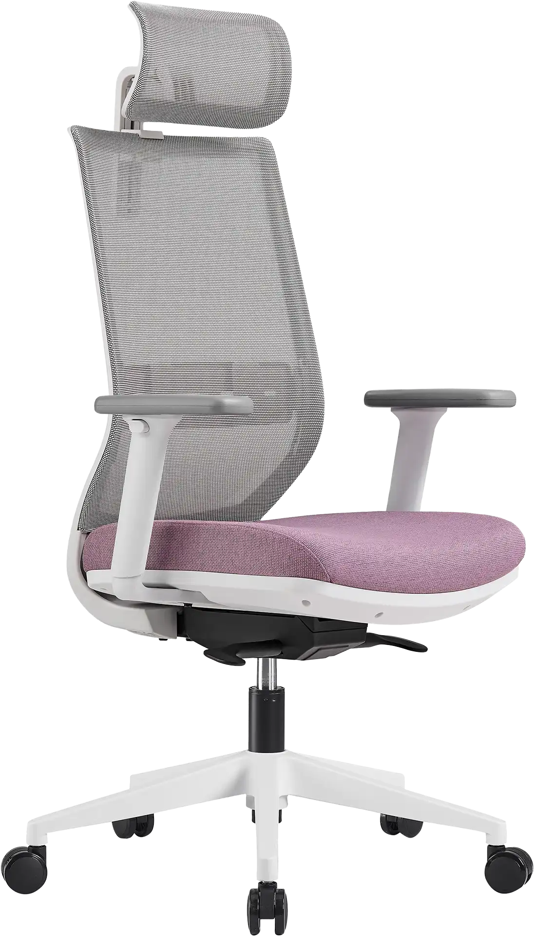 Déclinaison TCY05BE-VT